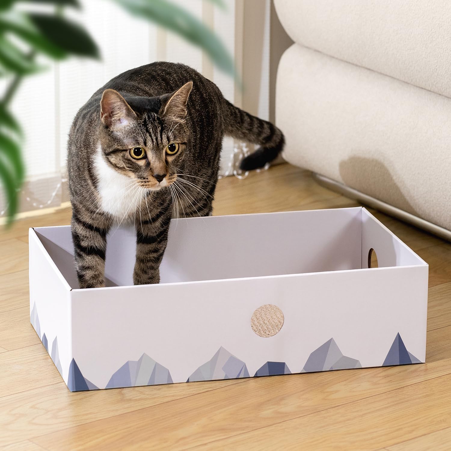 Thumbnail 6 de Cat scratching board box 41 x 24 cm
