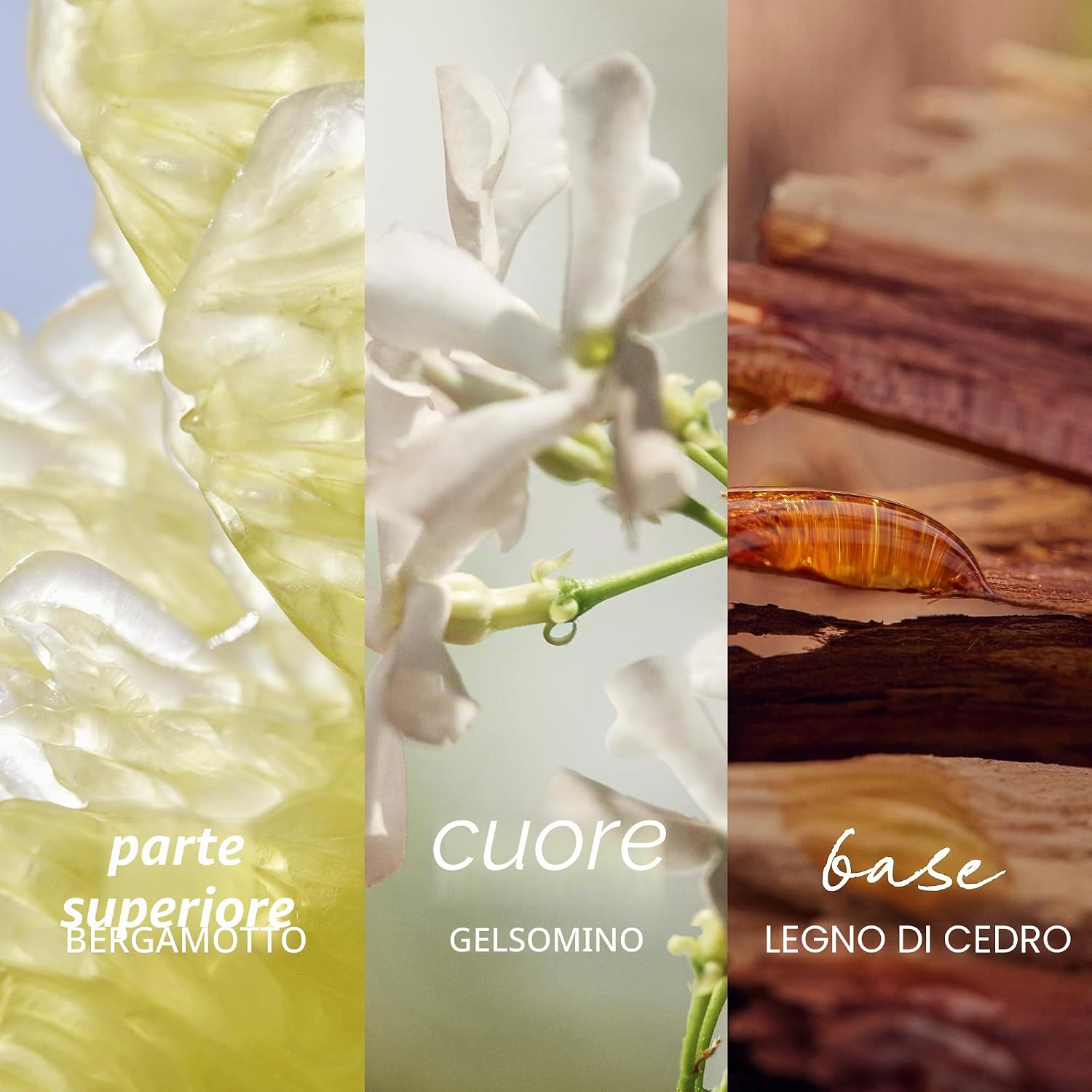 Thumbnail 5 de MEXX Inspired Nature Eau de Parfum pour Donna 50 ml – floreale fruttata, lunga durata e vegan