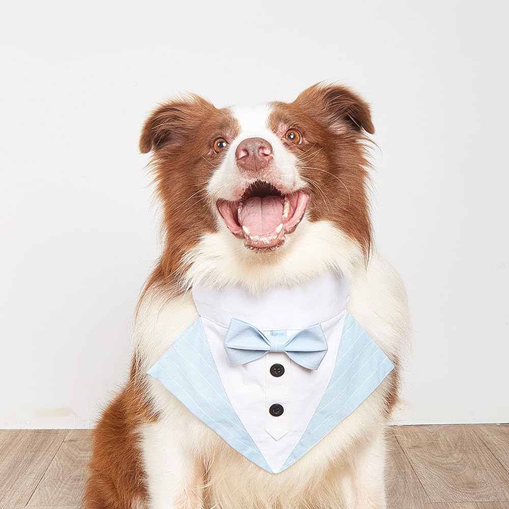 Detalle de BT Bear Dog Tuxedo Collar Bandana – Formal Pet Wear (Blue_S)