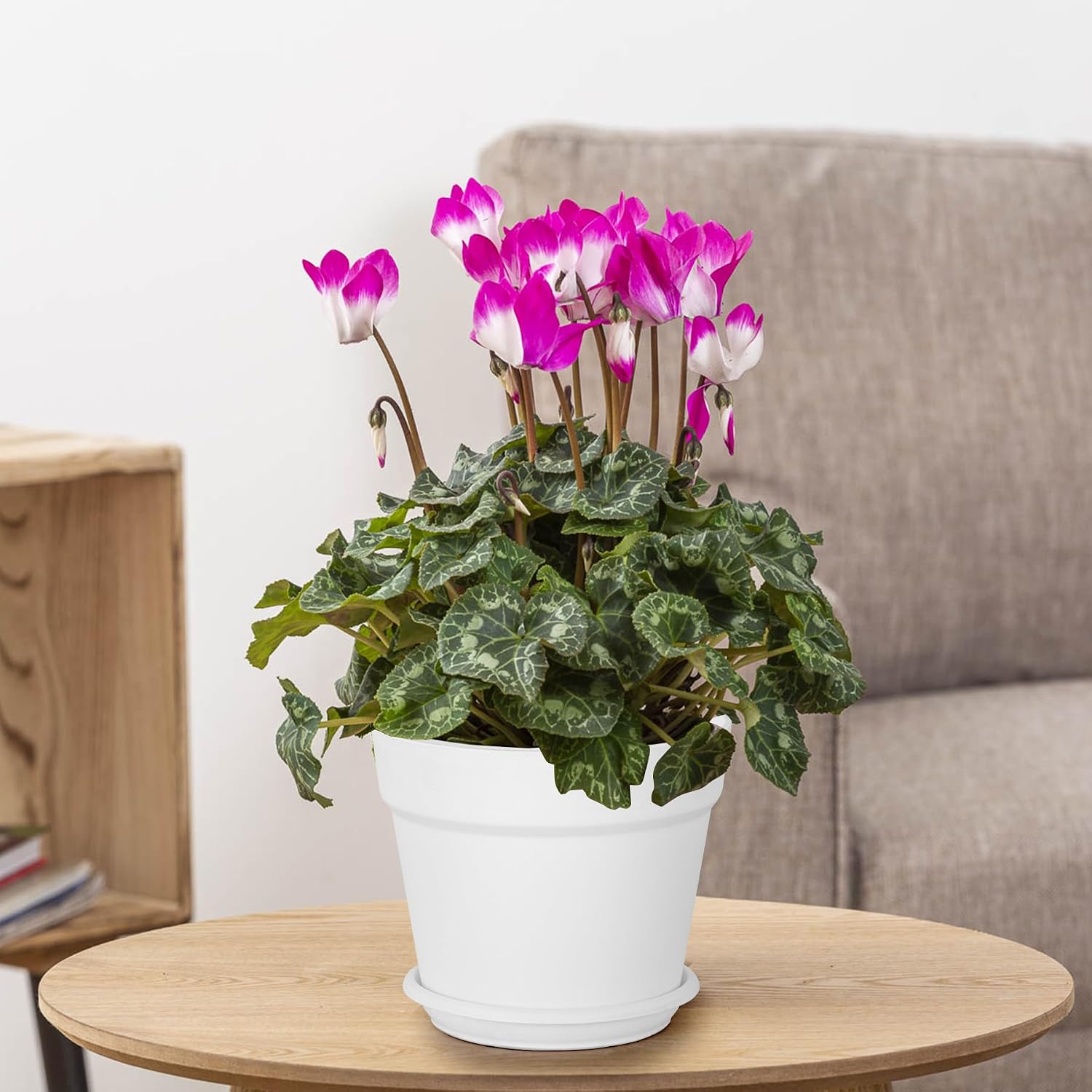 Detalle de Solvant: Set di 6 vasi per piante da esterno con sottobicchieri e do entrati, 16 cm, bianco
