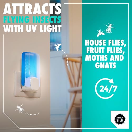 Thumbnail 1 de MAX STEM LED Light Trap: Insecticide-Free Indoor Fly Catcher
