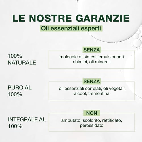 Thumbnail 1 de PRANAROM Espírito Festivo Bio Difusión 30 ml