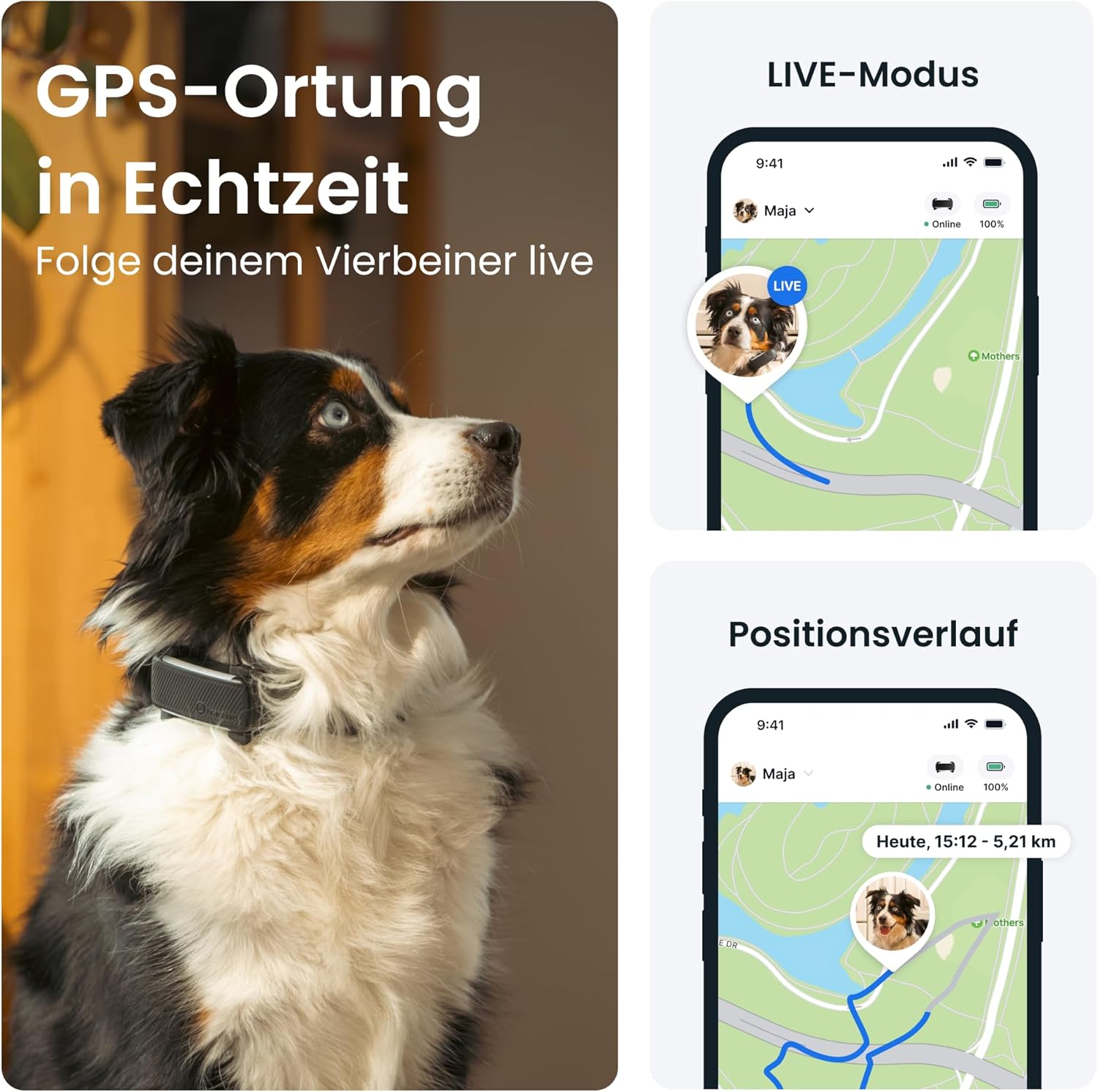 Thumbnail 1 de Tractive 2025 Edition GPS Tracker Hund