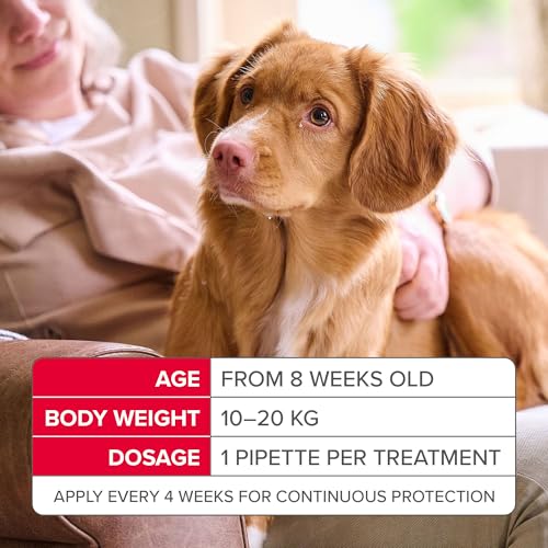 Thumbnail 6 de Beaphar FIPROtec Spot-On for Medium Dogs (10–20 kg) – 6 Pipettes