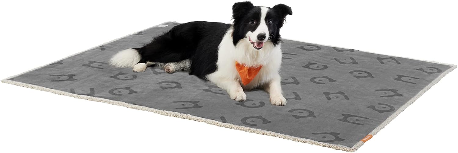 Thumbnail 3 de Feandrea Couverture chien XL 152 x 127 cm