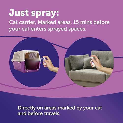 Thumbnail 6 de Feliway Classic Cat Calming Odourless Spray, 60ml