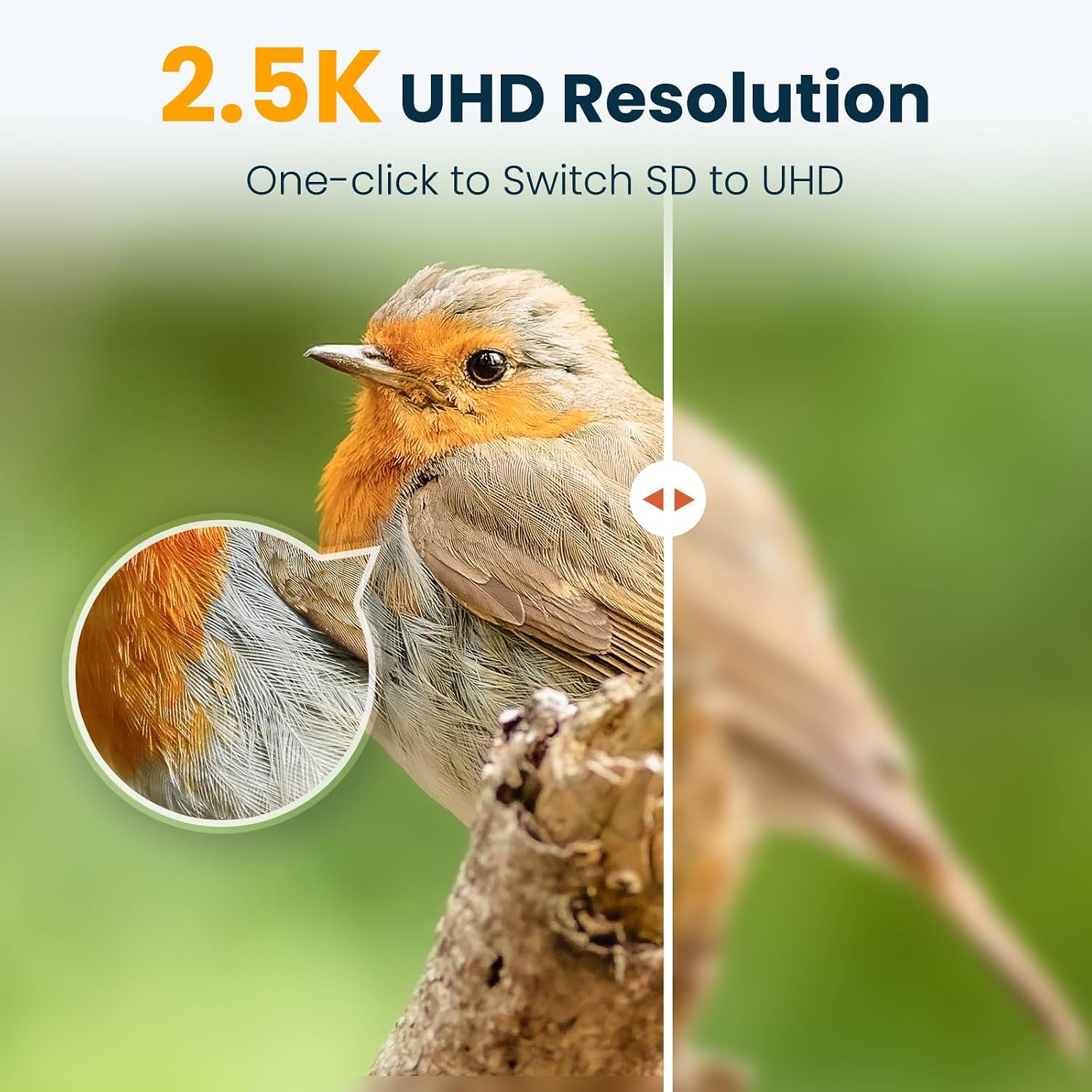 Thumbnail 6 de Smart Bird Feeder with Camera: 2.5K UHD, AI ID, Solar Powered, IP66