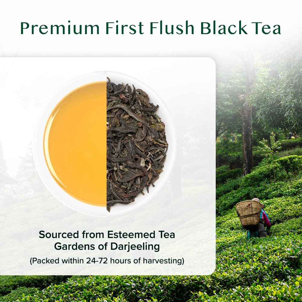 Thumbnail 5 de VAHDAM First Flush Darjeeling schwarzer Tee – 100 g, First Flush aus Indien