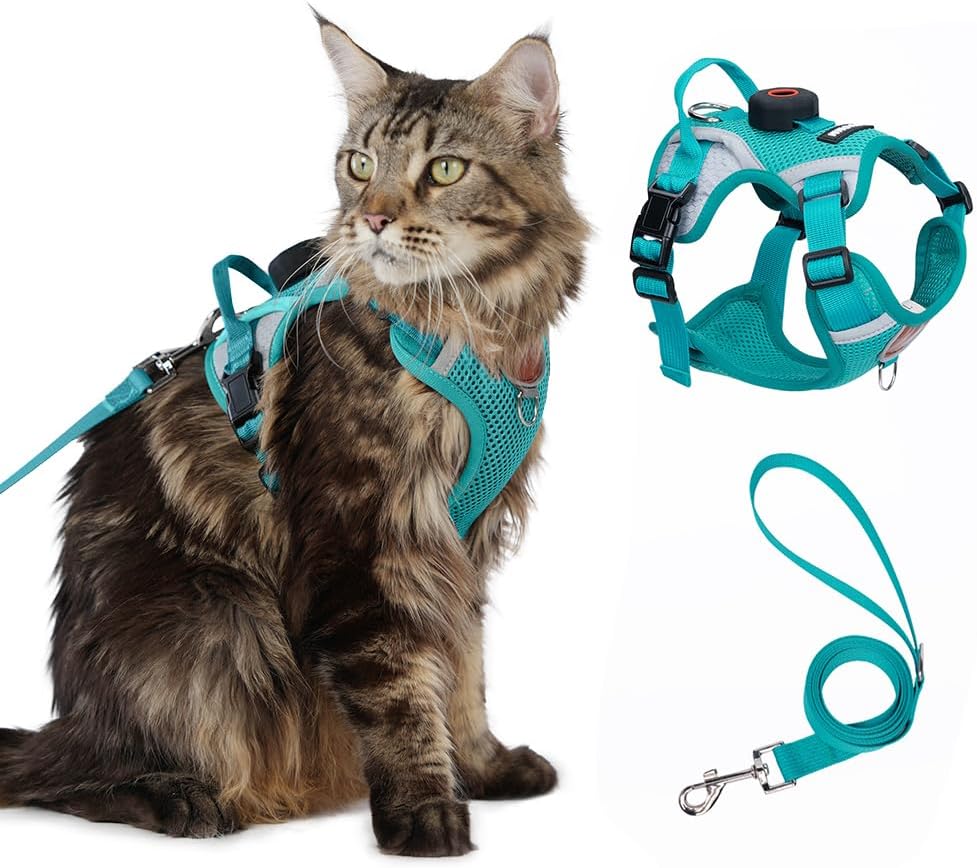 Cat Harness and Leash Set with AirTag Holder (Teal) — Escape-Proof, Small Cat Vest for Outdoor Walks
