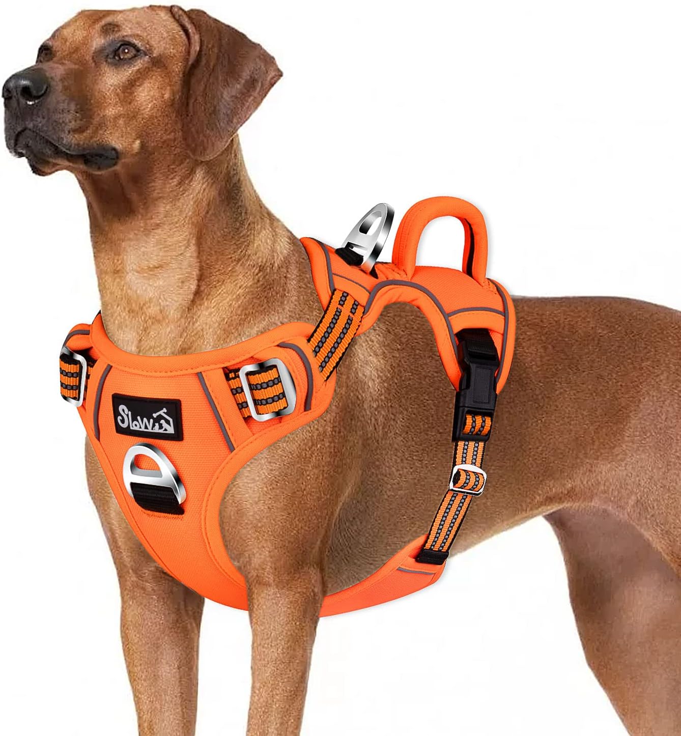 Eyein Large Dog Harness (XL) – Anti-pull adjustable dog vest with 2 clips, reflective straps and padded handle