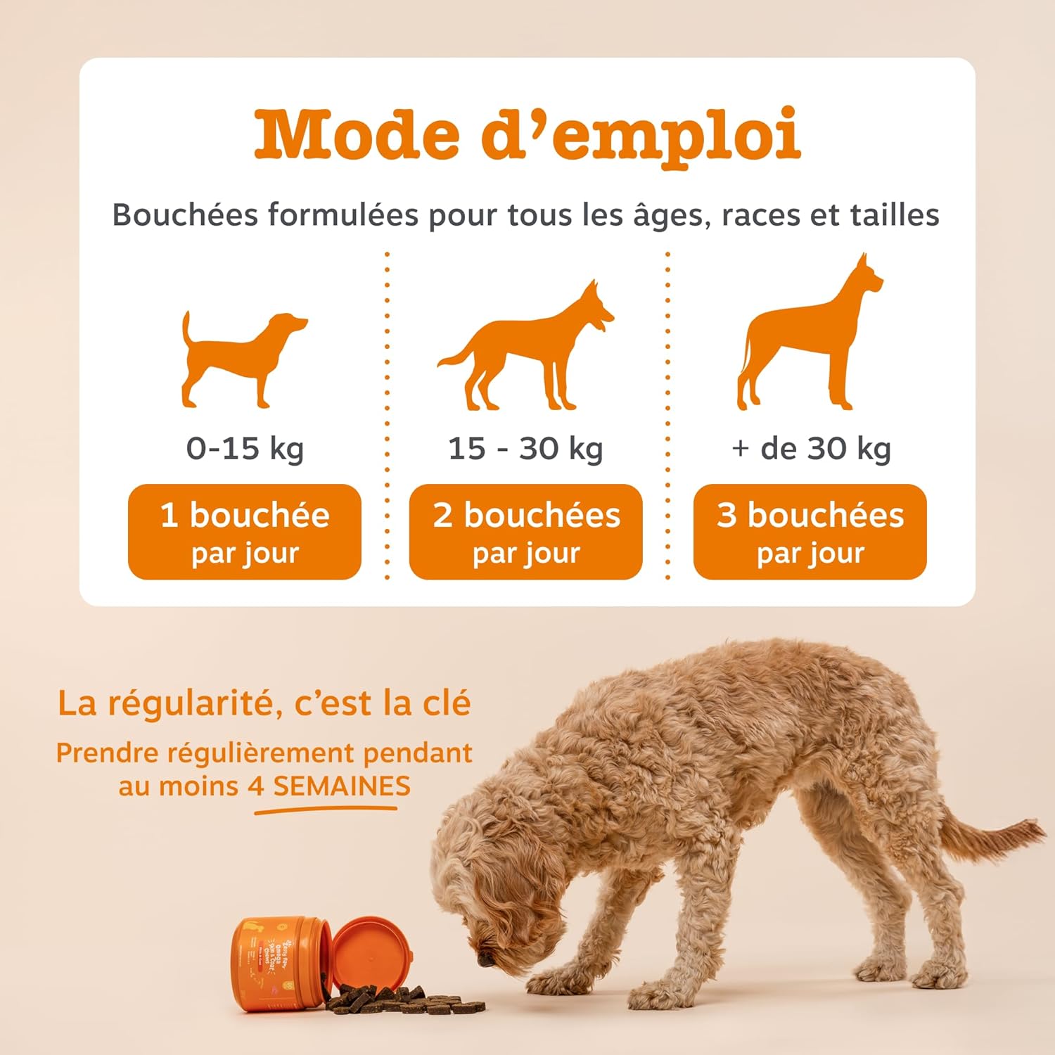 Thumbnail 6 de Zesty Paws Santé Peau et Pelage pour Chiens – Bouchées gourmandes à l’huile de poisson (90 unités)