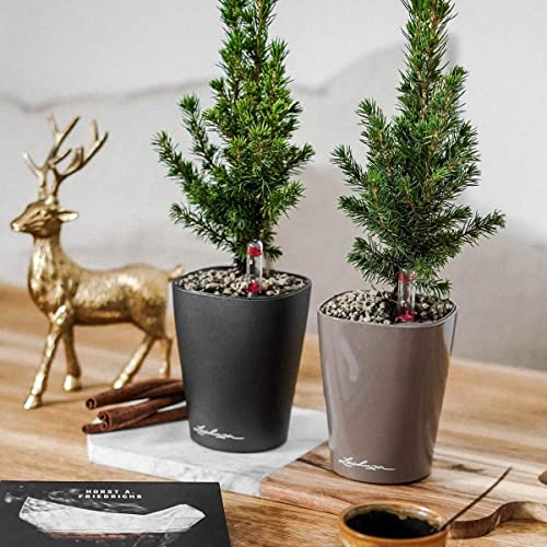 Thumbnail 8 de Lechuza 14904 Maceta Deltini Premium Kit 🌿 (14x18)