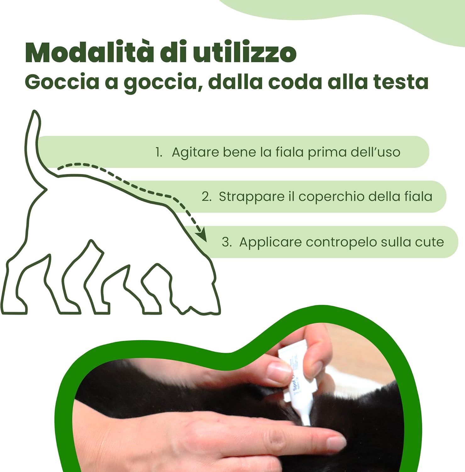 Thumbnail 3 de CAMON Spot-On Protection Cane (>11kg) – Fiale Neem, protezione naturale per cani oltre 11 kg