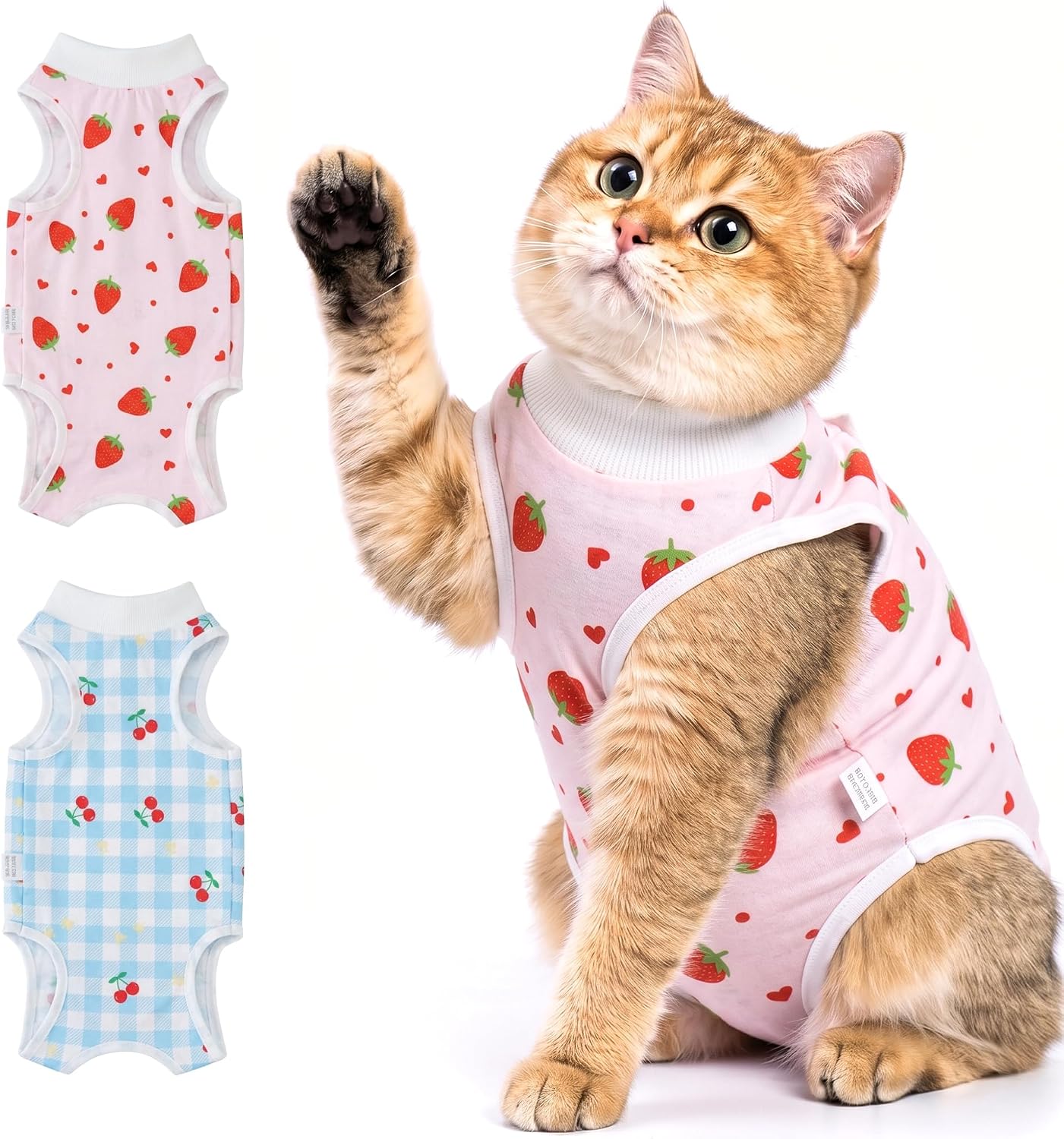 Detalle de Avont Cat Recovery Suit, Size M