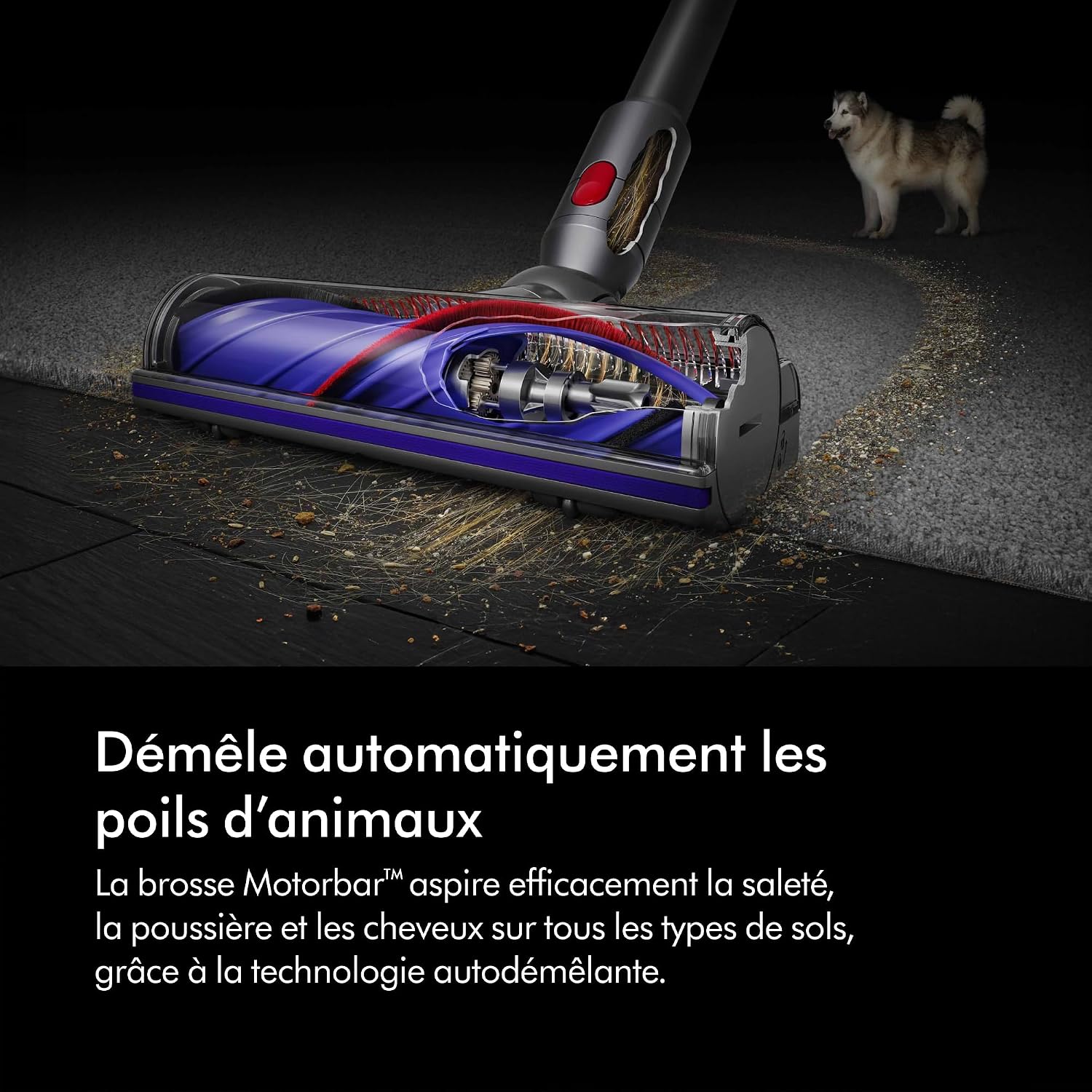 Detalle de Dyson V8 Absolute Aspirateur sans Fil 40 min