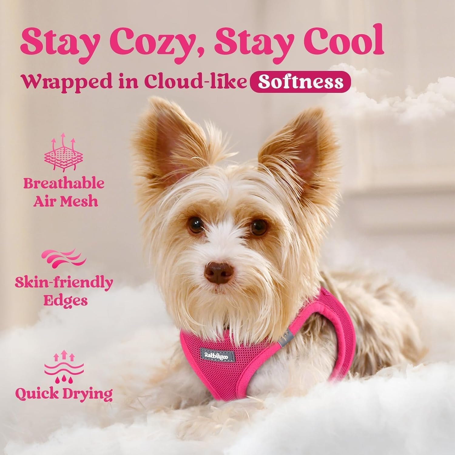 Thumbnail 2 de rabbitgoo Dog Harness Small Dog S