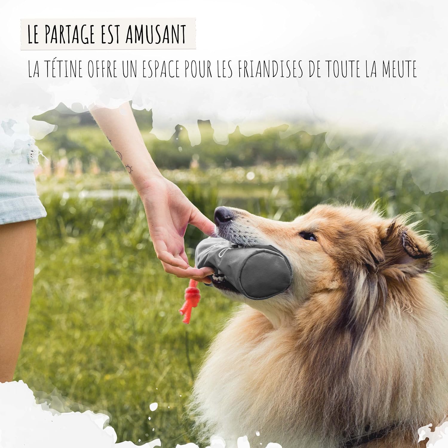 Thumbnail 4 de Rudelkönig Apportable jouet chien