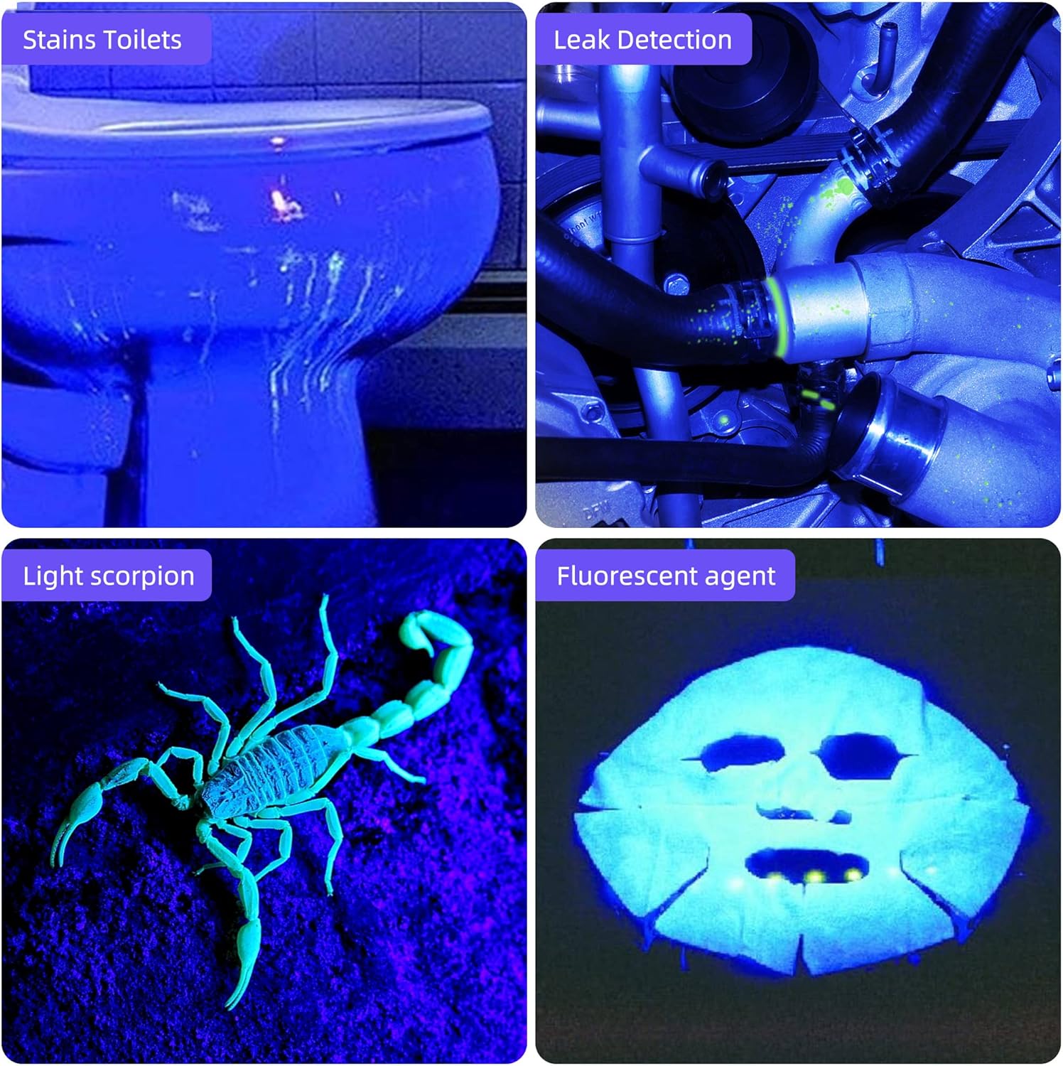 Thumbnail 5 de DARKBEAM Torcia UV 365nm 🔦