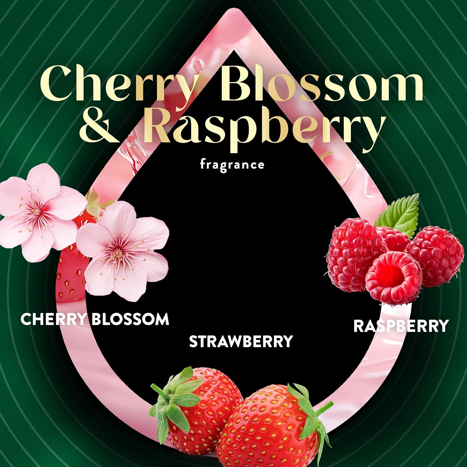 Detalle 1 de Air Wick Cherry Blossom & Raspberry Plug-In Scented Oil Refills, 4 Count