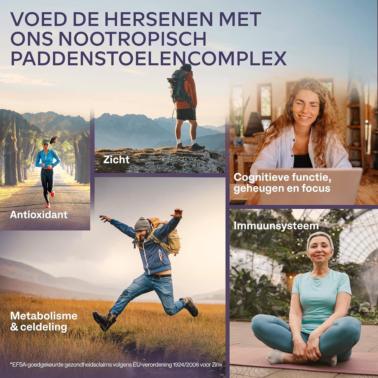 Detalle de AAVALABS Pruikzwam supplement met 30:1-extract, zink, Reishi en Cordyceps