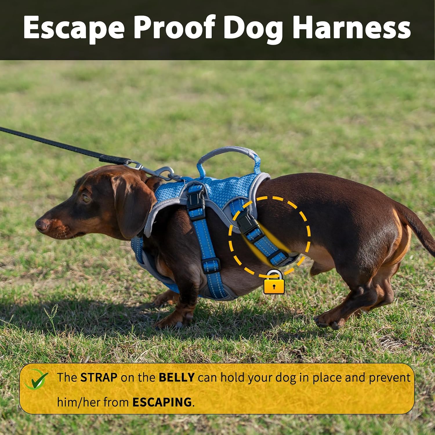 Detalle de Huntboo Dog Harness M