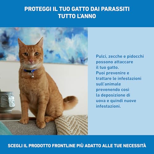 Thumbnail 5 de FRONTLINE Spot On Gatti – Confezione da 3 Pipette da 0,5 ml per antiparassitario duraturo
