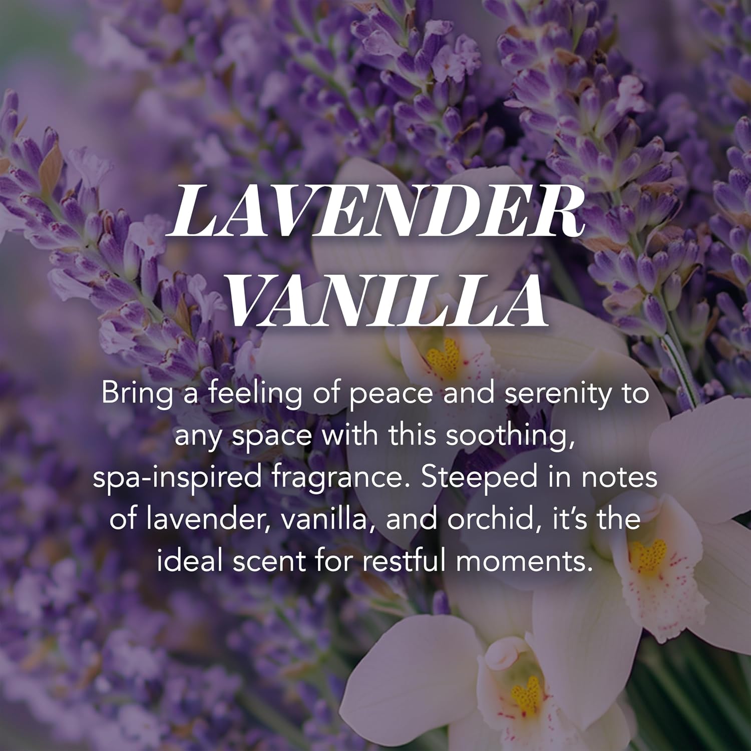 Detalle 2 de Yankee Candle Lavender Vanilla 150h