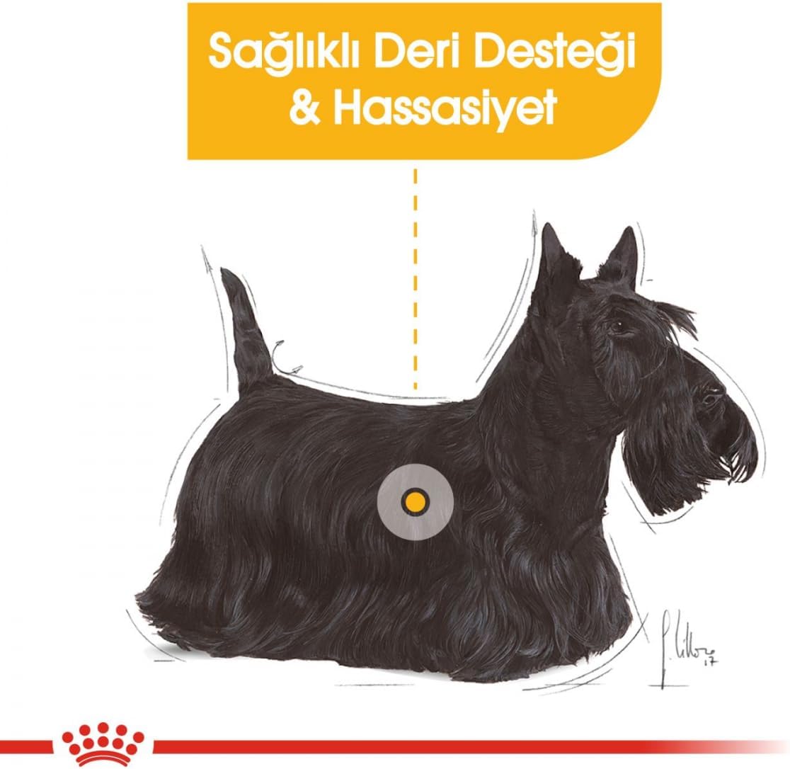 Detalle de Royal CANIN DERMACOMFORT Mousse – Alimentation humide pour chien adulte à peau sensible (12 x 85 g)
