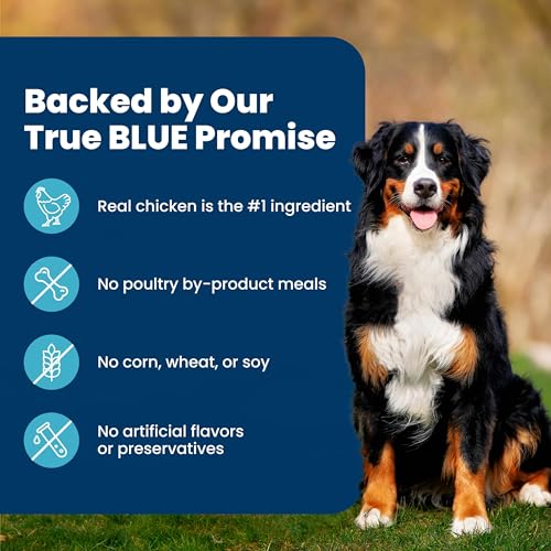 Thumbnail 6 de Blue Buffalo Life Protection Formula Chicken Adult Dry Dog Food, 5 lb
