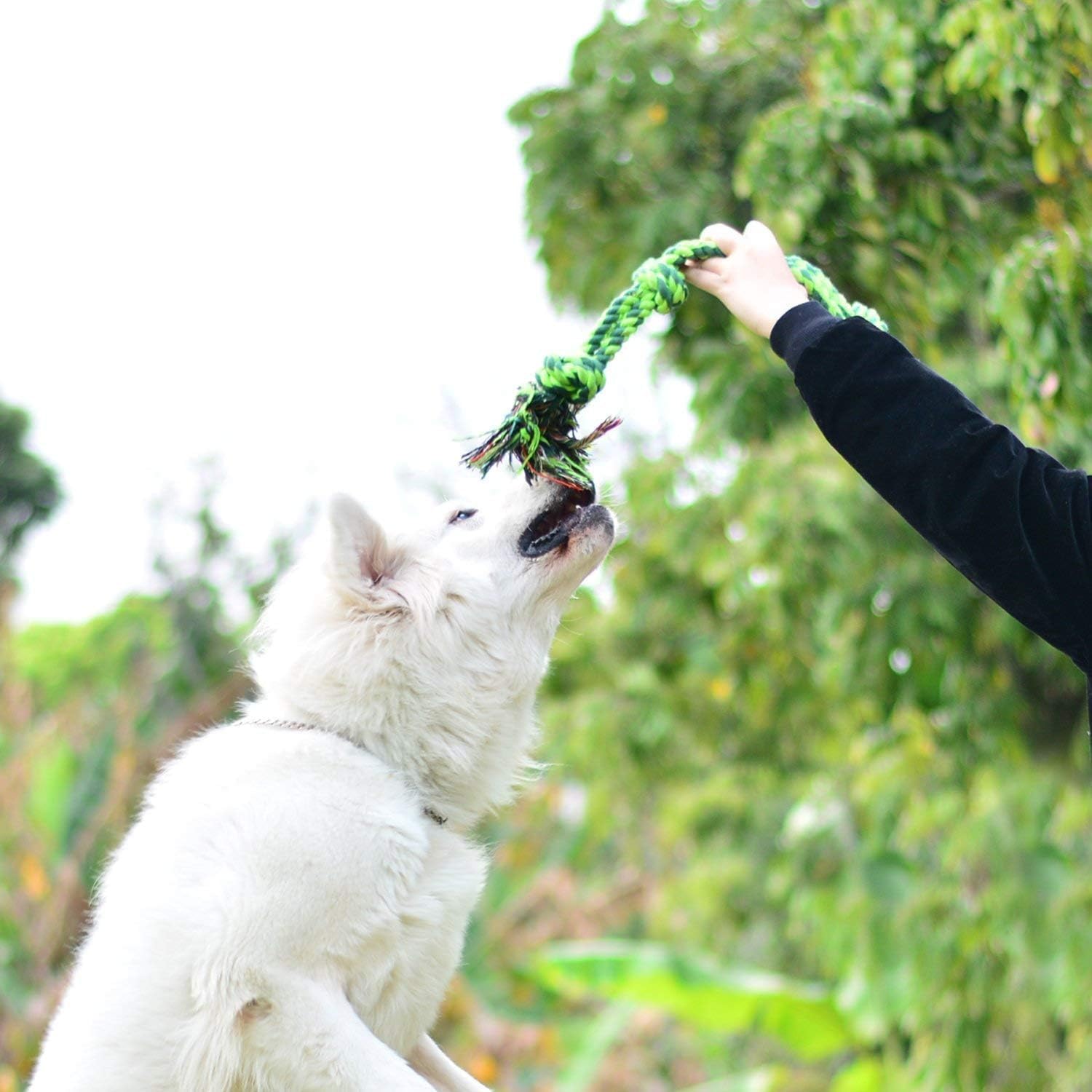 Thumbnail 2 de SHARLOVY 5-Knot Cotton Rope Tug Dog Toy (Extra Large, for Large & Aggressive Chewers)