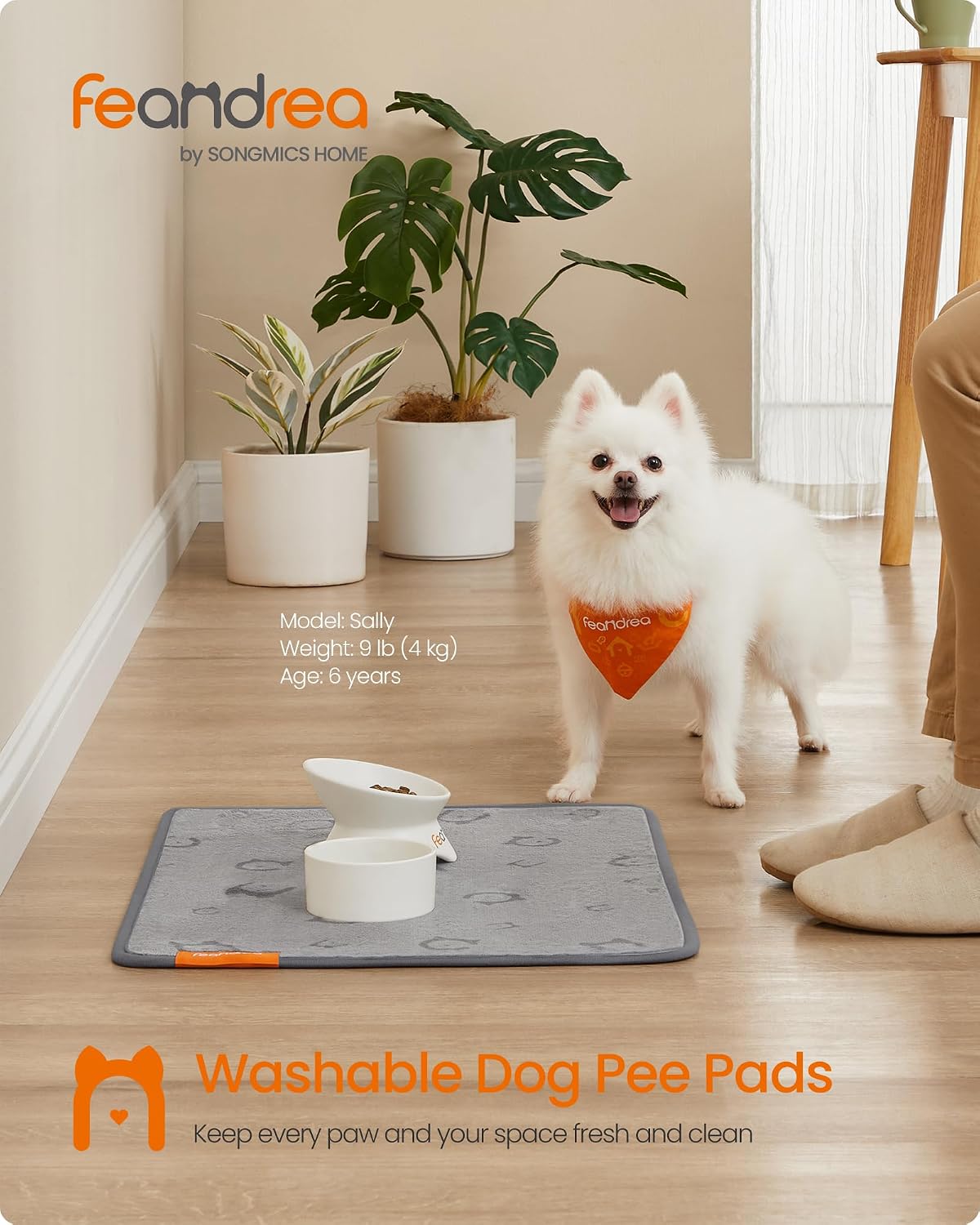 Thumbnail 1 de Feandrea BASCO PTD001G01 Washable Dog Training Pads, 2-Pack, 61 x 46 cm