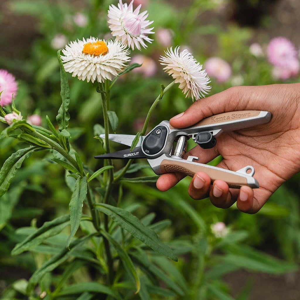 Detalle 1 de Kent & Stowe Garden Snips for flowers