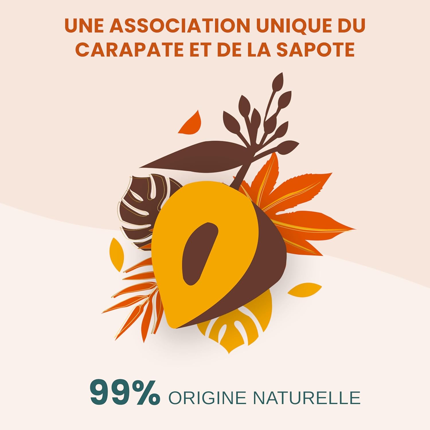 Thumbnail 3 de ACTIVILONG Huile Scellante Actiforce 99% d’ingrédients naturels – Hydrate, nourrit et protège (cheveux frisés et crépus) 100 ml