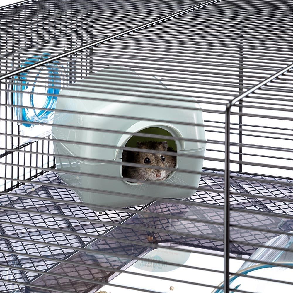 Thumbnail 6 de Ferplast Gabbia per Criceti FAVOLA per piccoli roditori, 2 piani con vaschetta rimovibile e accessori inclusi