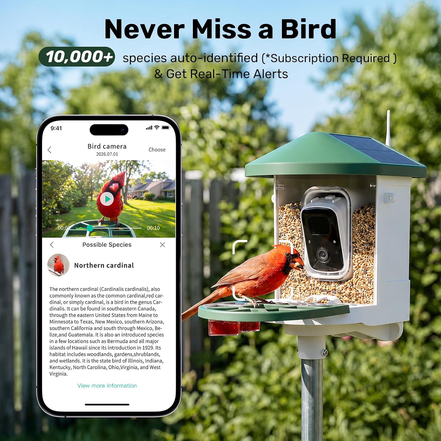 Detalle 2 de HARYMOR Smart Bird Feeder with Camera, 1.5L Capacity