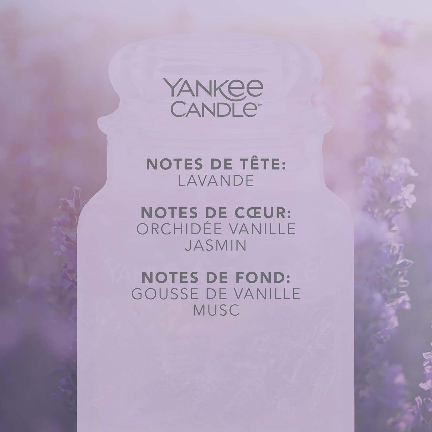 Thumbnail 2 de Yankee Candle Lavande et vanille 150 h 🕯
