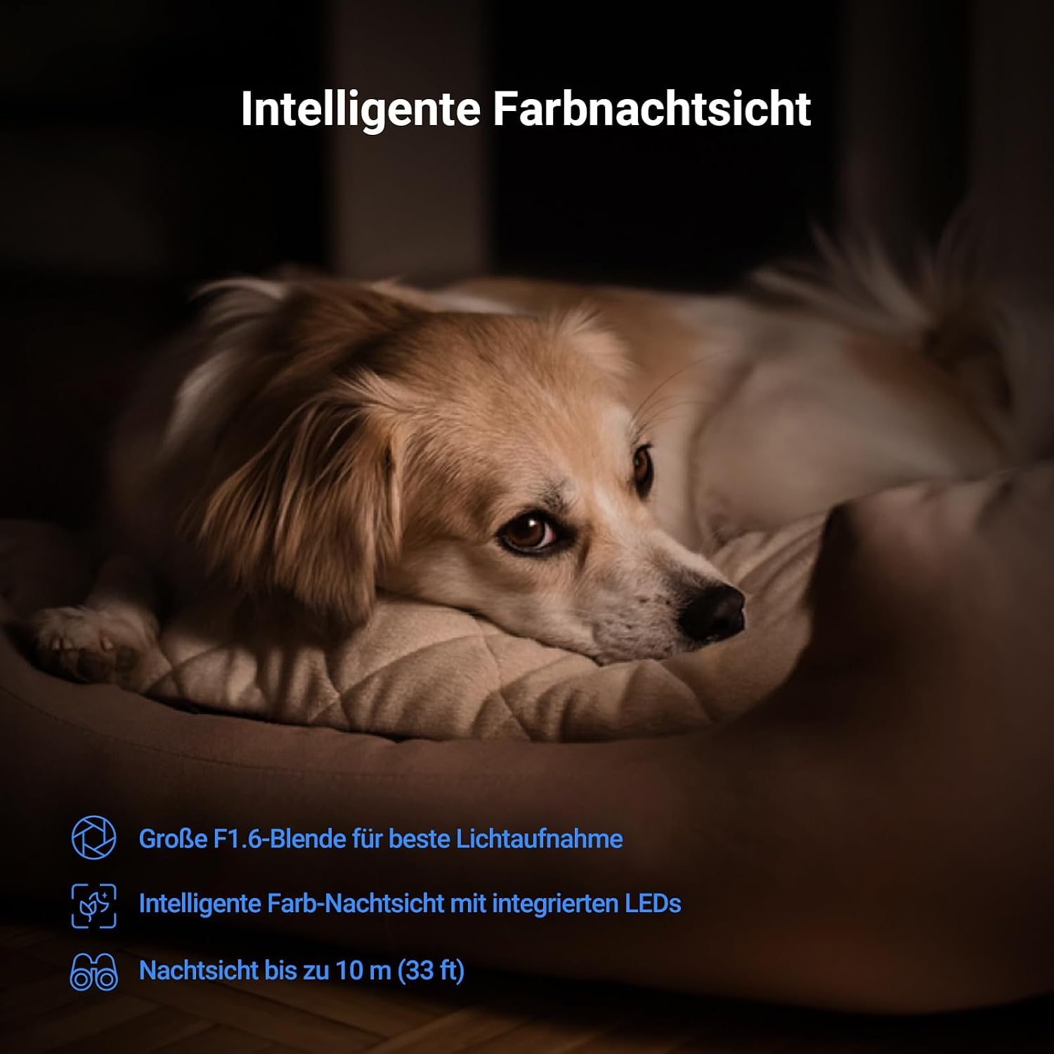 Thumbnail 6 de EZVIZ C6N G1 4K Überwachungskamera Indoor – 2er Pack, 360° PTZ, Farbnachtsicht, Zweiwege-Audio, Alexa kompatibel