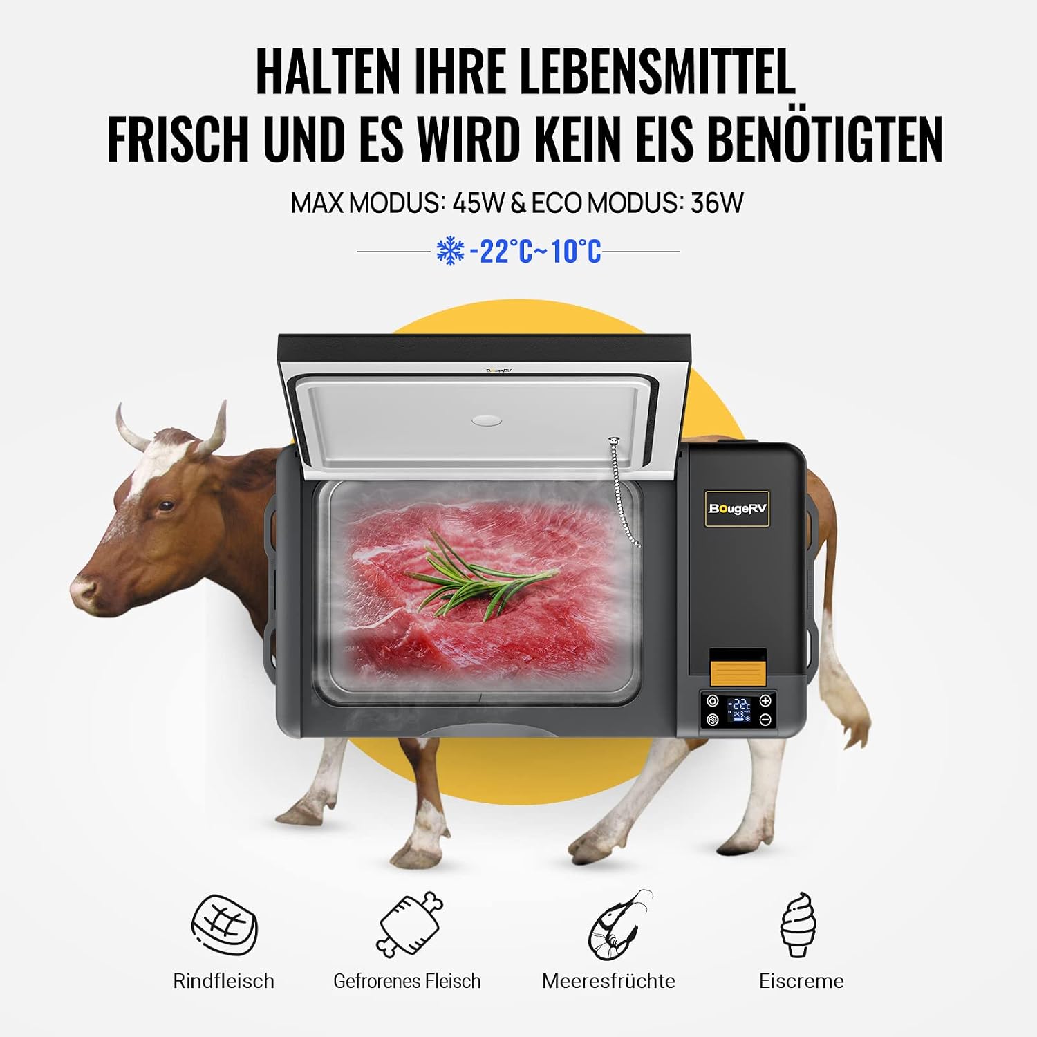 Detalle 2 de BougeRV CRPRO Kompressor Kühlbox 12V mit 277Wh Akku – 29 Liter, tragbar, für Auto & Camping