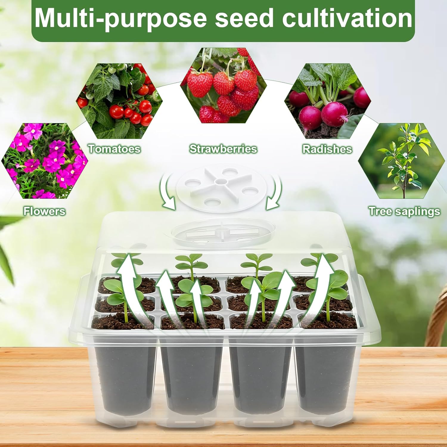 Thumbnail 6 de Lychee Seed Trays: 10 Pack 120-Cell Propagator with Lidded Rotatable Vent – Transparent PET Seedling Starter Kit