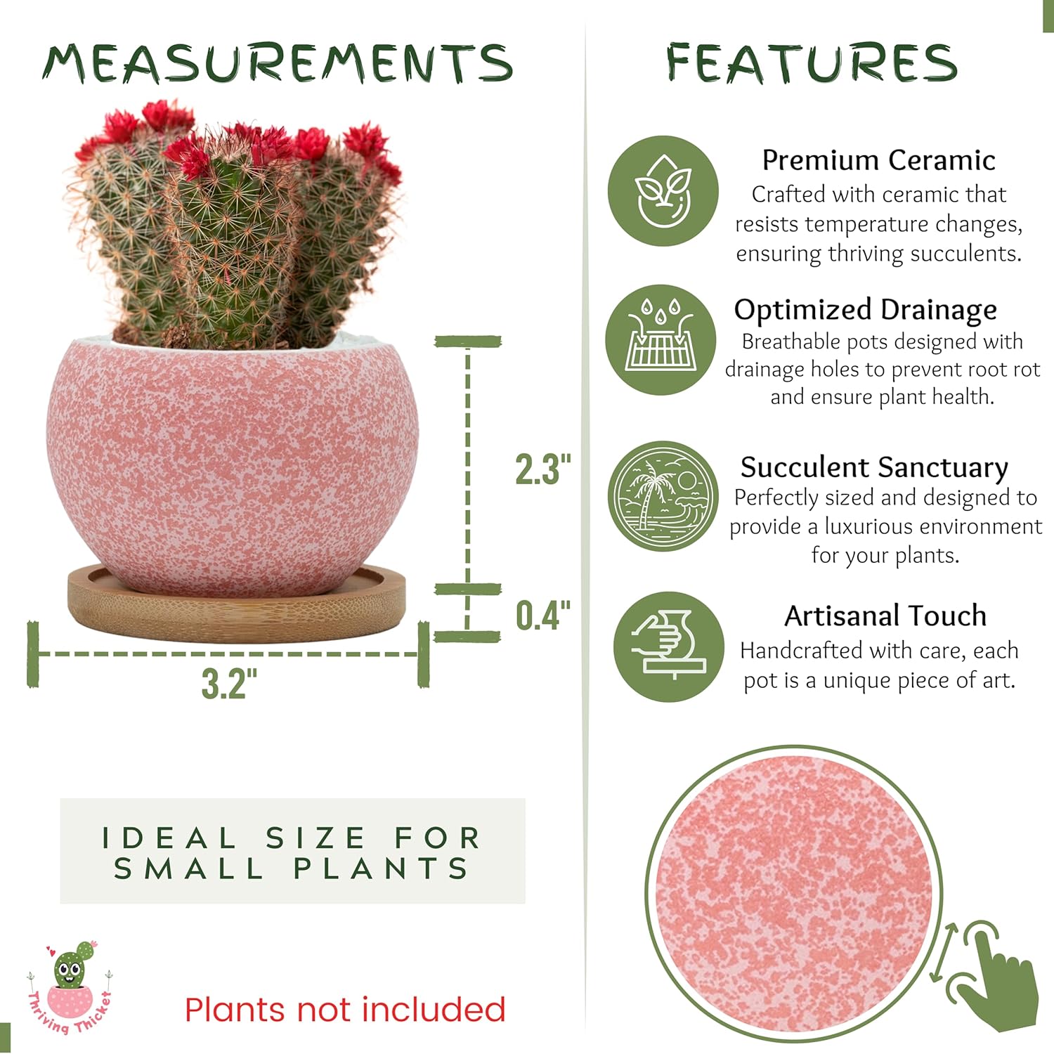 Thumbnail 2 de Thriving Thicket 3" Ceramic Succulent Pots, 6-Pack 🌱