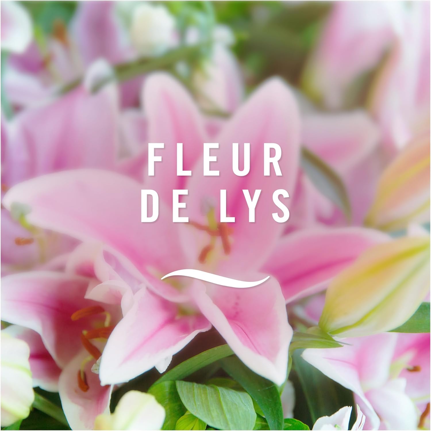 Thumbnail 6 de Kit désodorisant électrique Febreze – 1 diffuseur + recharges (20 ml) + 3 parfums en alternance, Fleur de Lys