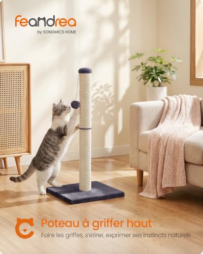 Detalle 2 de FEANDREA Griffoir pour chat en sisal naturel