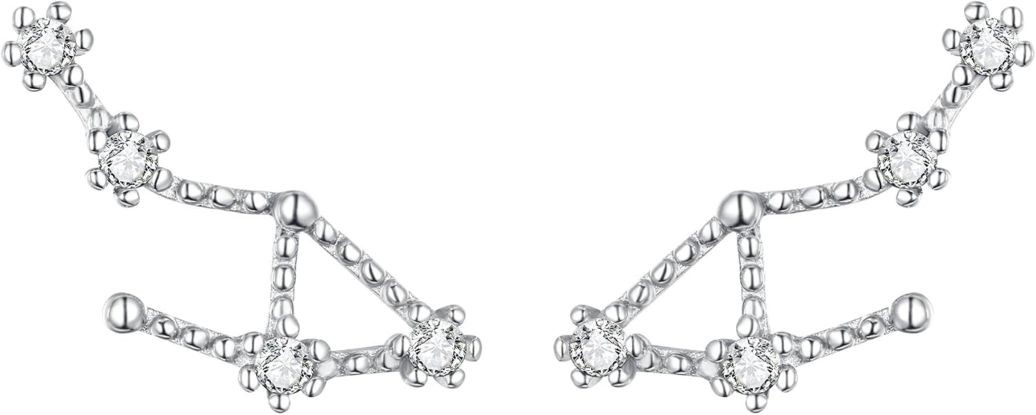 Detalle de Clearine Orecchini Argento 925 Zircone Oroscopo Zodiaco 12 Costellazione – Orecchini in fila