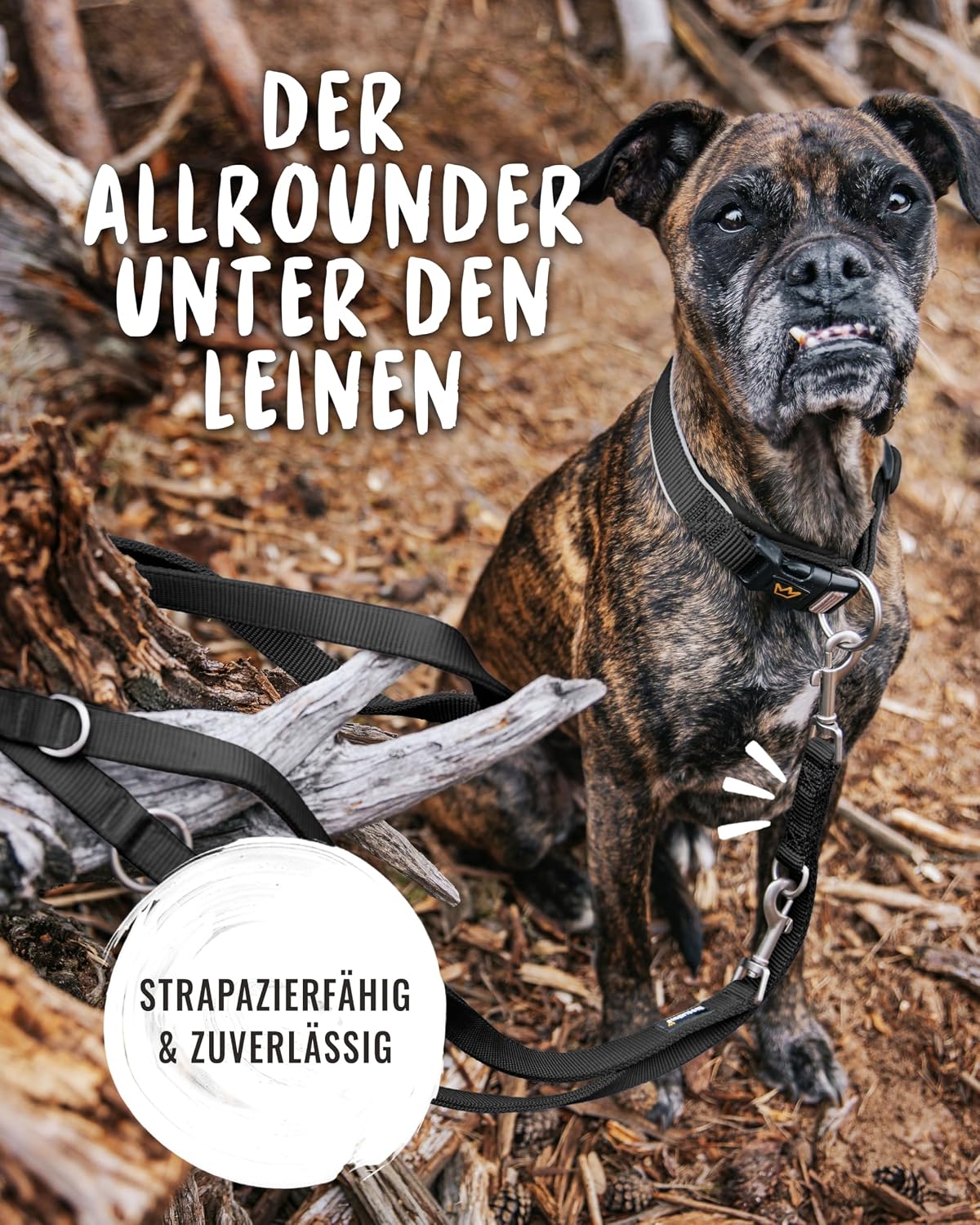 Thumbnail 4 de Rudelkönig Frida Führleine 2,30 m Verstellbar