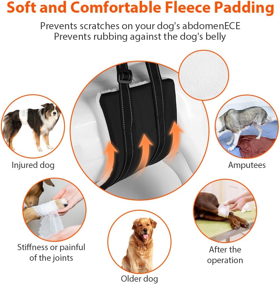 Thumbnail 3 de AOOHA Harnais pour chien handicapé réglable (aide à la marche) en cuir PU imperméable