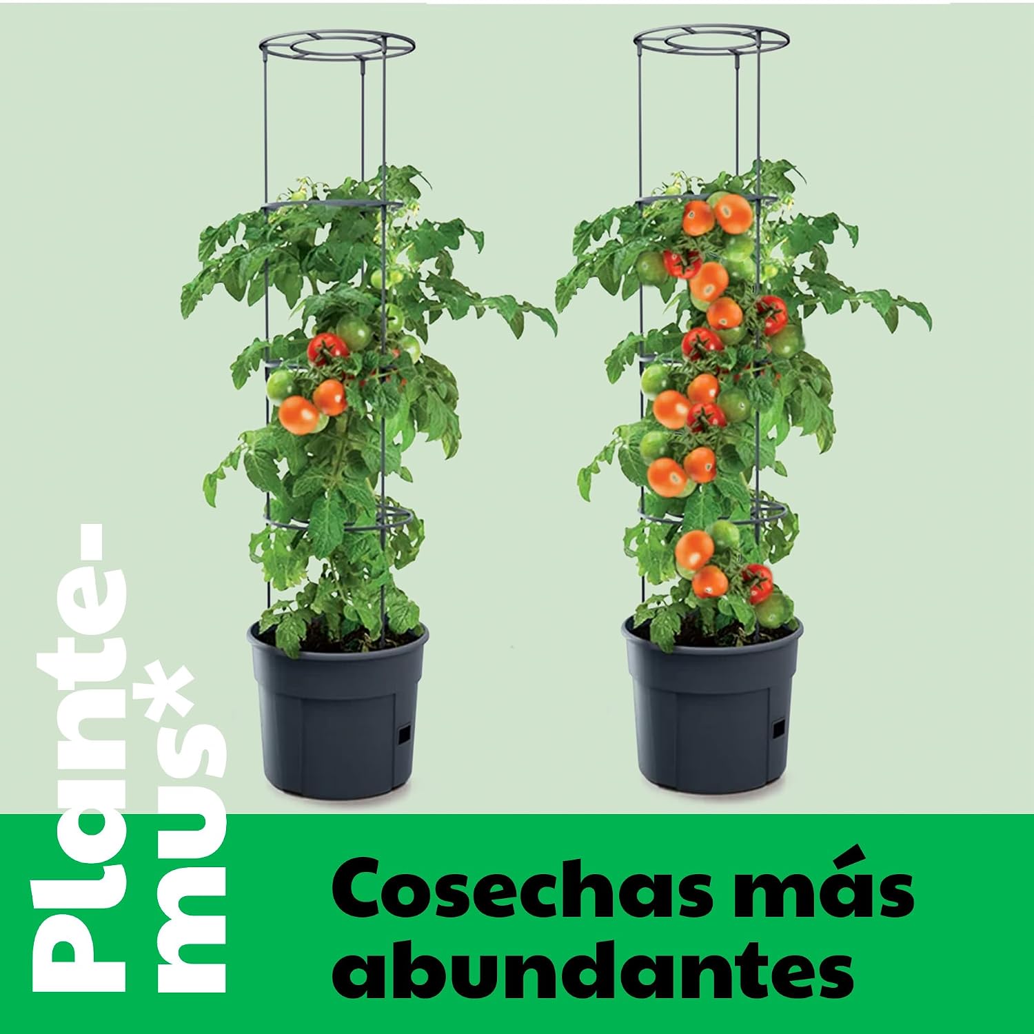 Detalle de PLANTEMUS Abono Orgánico para Huerto y Cosechas 🍅🍓
