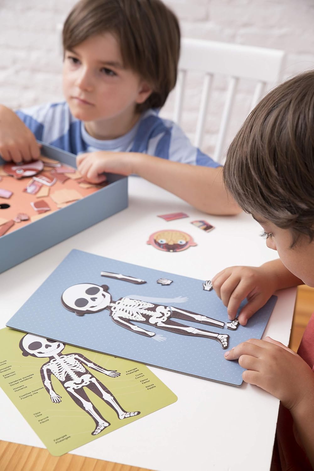 Detalle 2 de APLI Kids 18531 Juego Magnético Educativo Cuerpo Humano