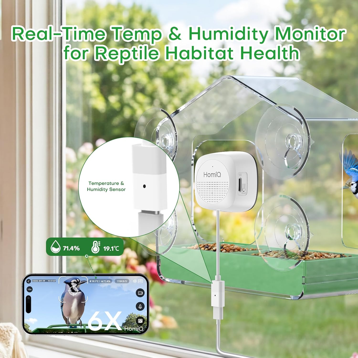 Thumbnail 2 de HomiQ Smart Window Bird Feeder with 2K HD Camera – AI Species Identification