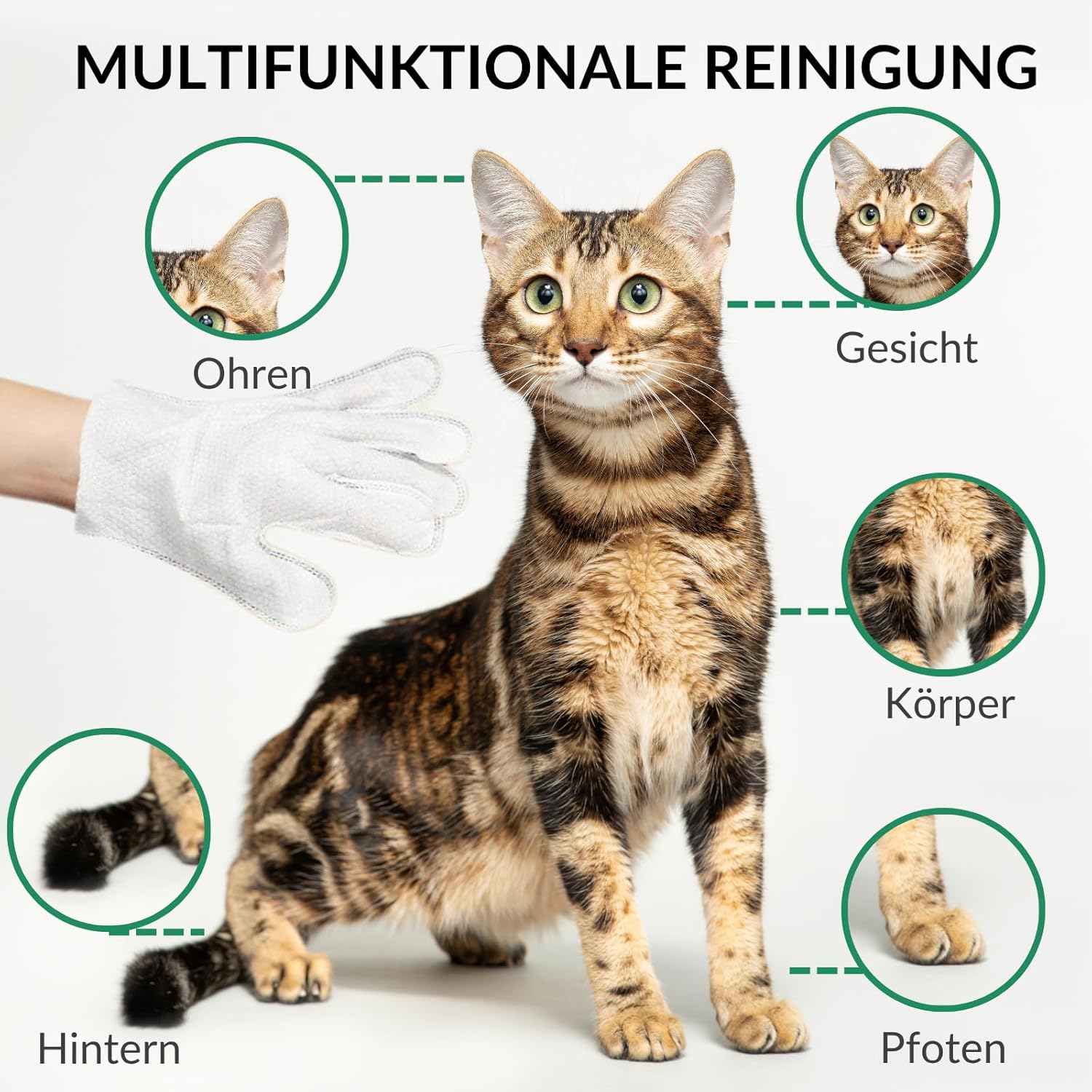 Detalle de RumbleBox Handschuh-Feuchttücher für Katzen & Hunde – Präzise Reinigung und sanfte Fellpflege