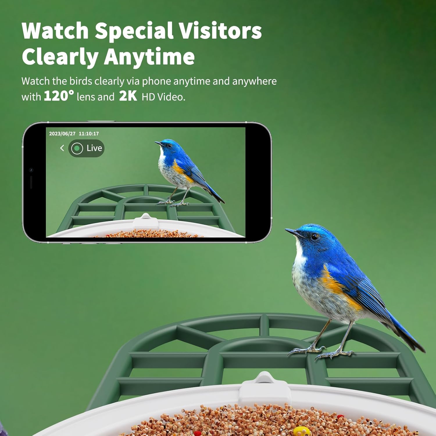 Detalle 2 de HARYMOR Smart Bird Feeder Camera, 2L
